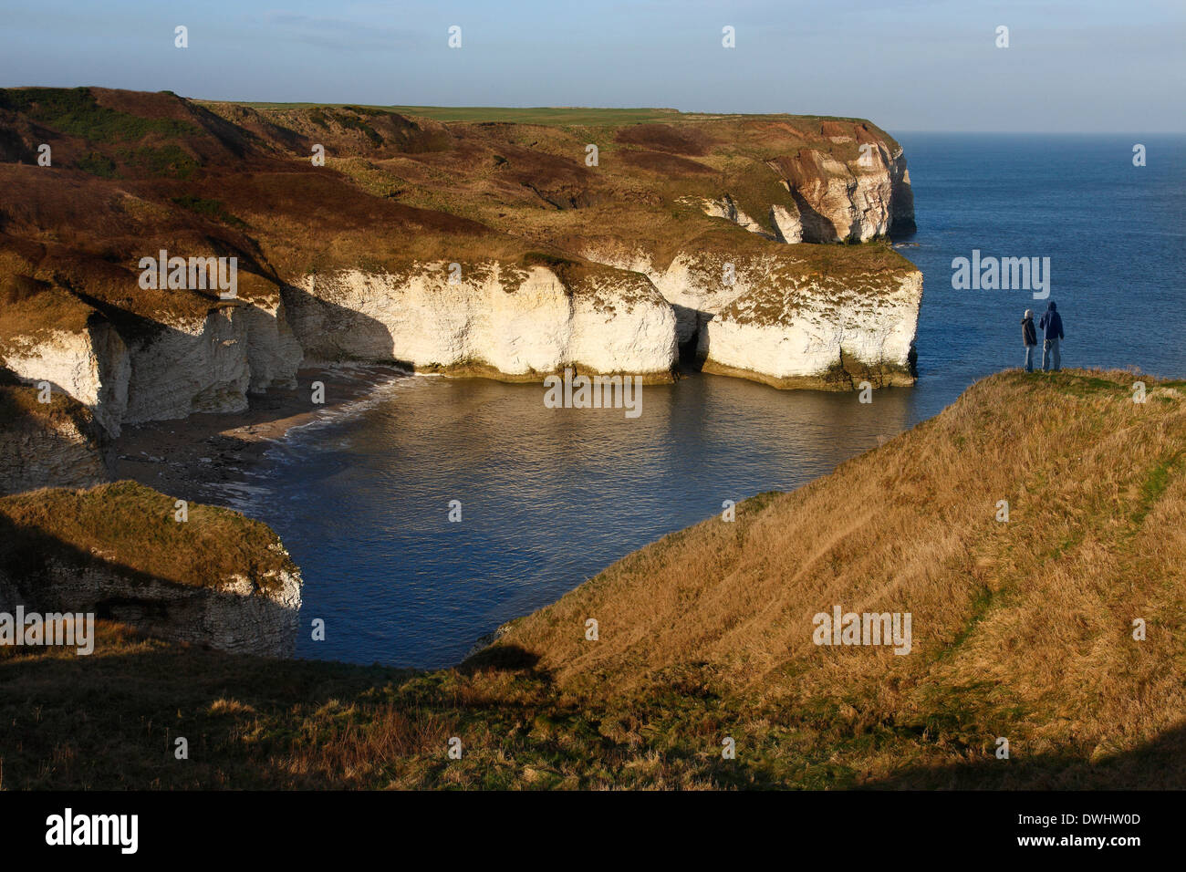 Sea cliffs at Flamborough Head on the North Yorkshire coast in the