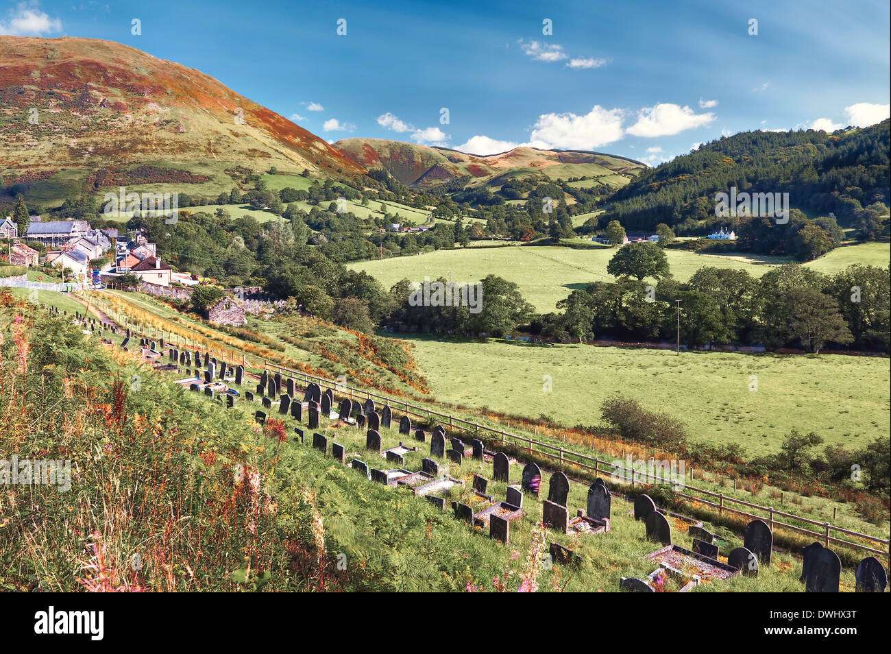The side of the A470 road in Dinas Mawddwy on a magic summers day Stock Photo
