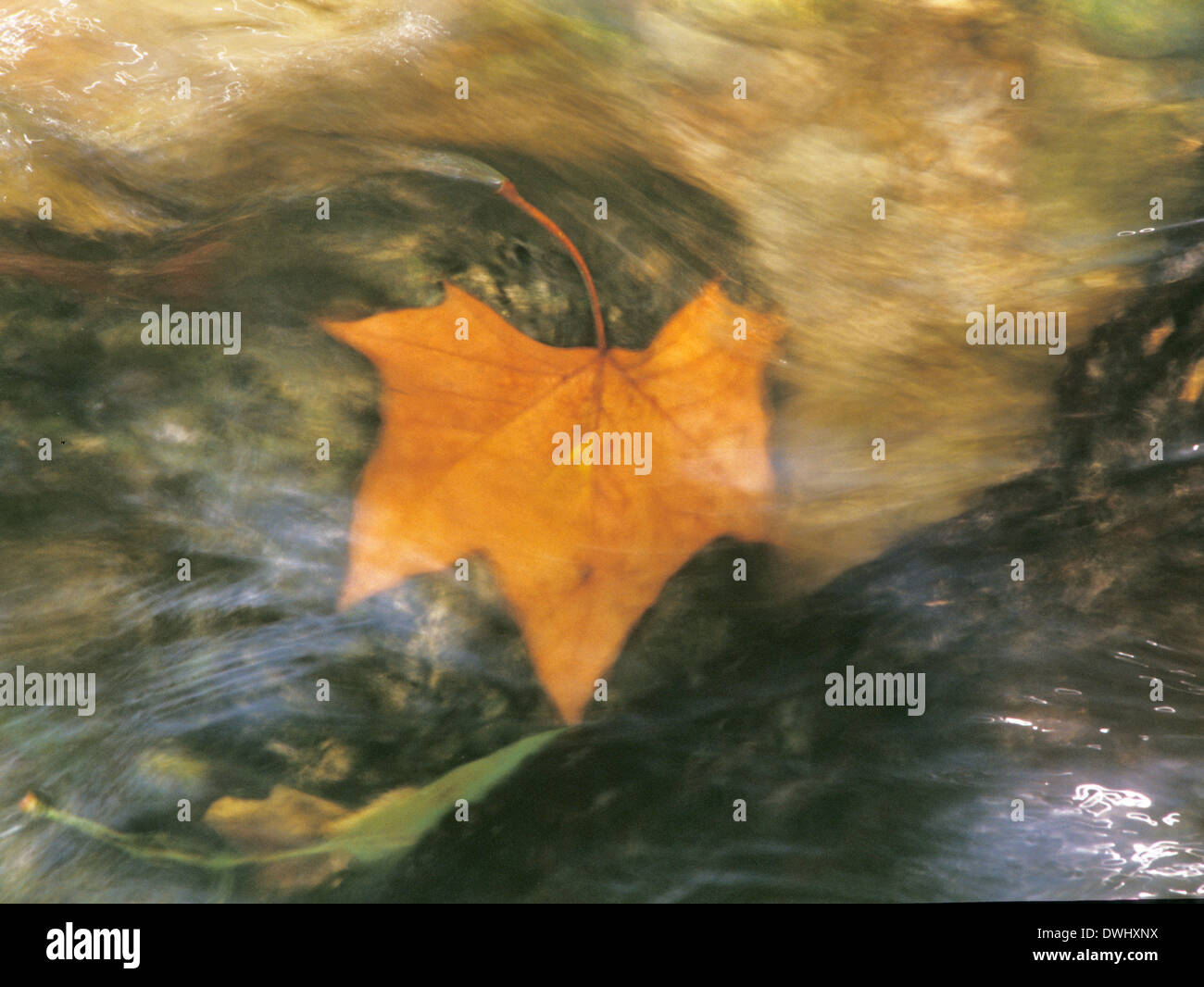 Captured patterns in water rocks hi-res stock photography and images ...