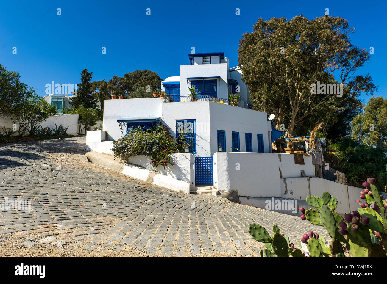 North Africa, Tunisia, Sidi Bou Said. Typical traditional white houses
