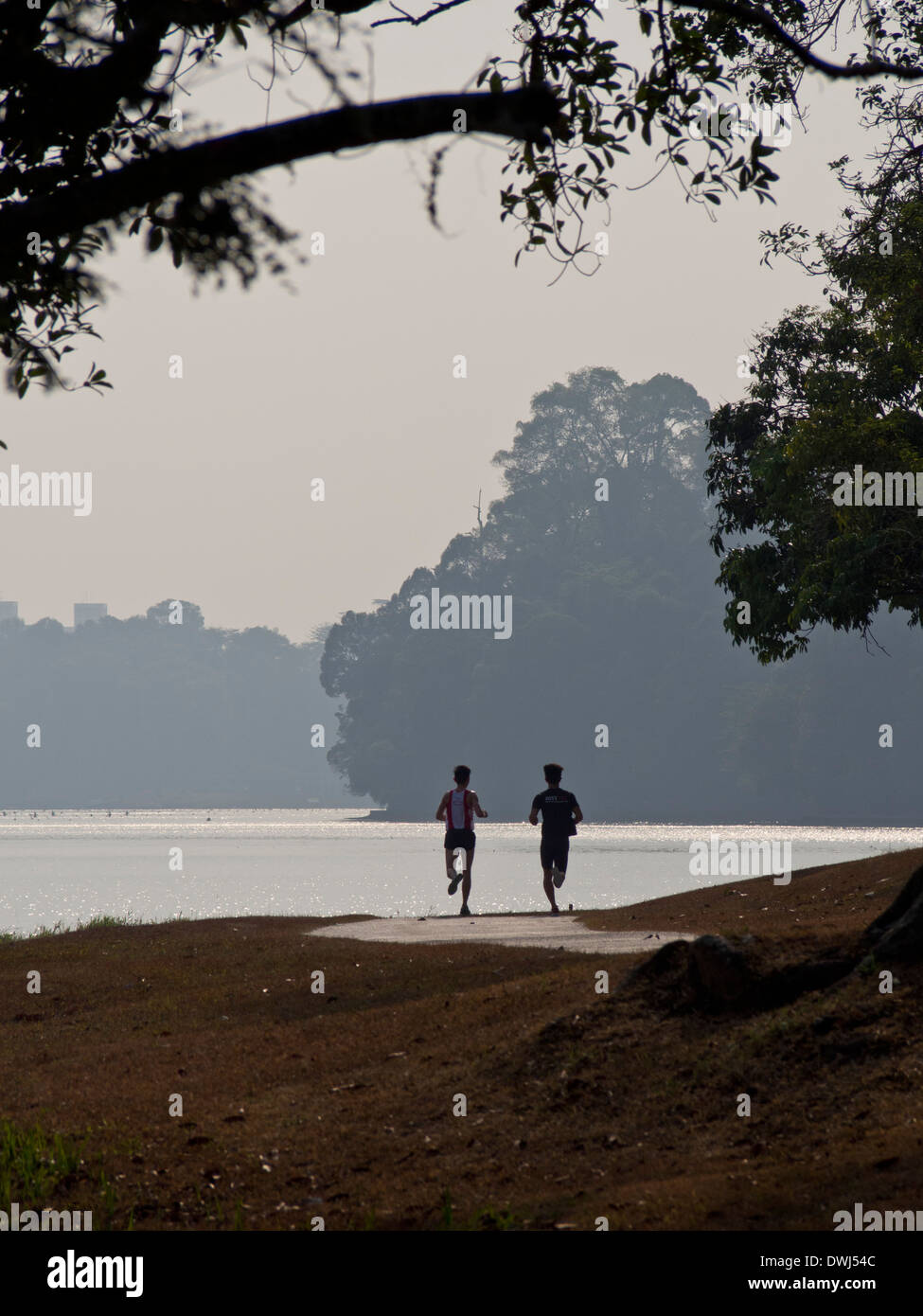 Joggers at the Mc Ritchie Reservoir nature reserve, Singapore Stock Photo -  Alamy