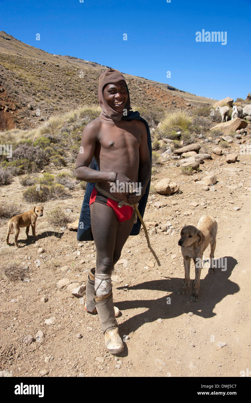 Man with dogs, Lesotho Stock Photo