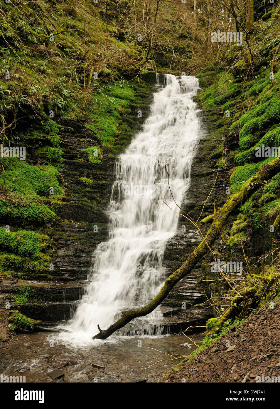 Water break its neck waterfall hi-res stock photography and images - Alamy