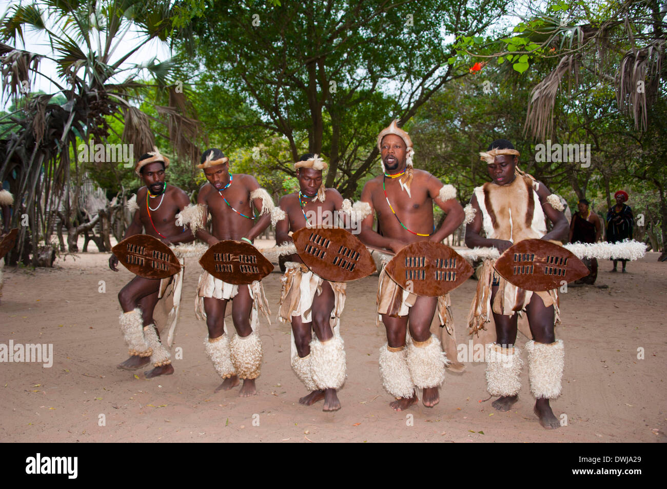 Traditional dance, Zulu village Stock Photo