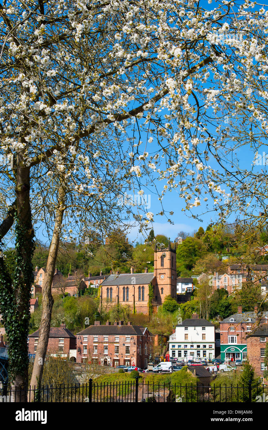 Spring cherry blossom in Ironbridge, Shropshire, England Stock Photo