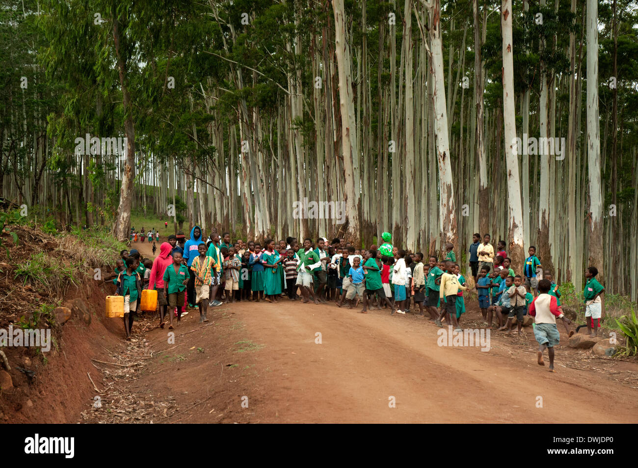Children wait for authorities to march to the world Aids day venue in Thyolo, Malawi. Dec 2013 Stock Photo
