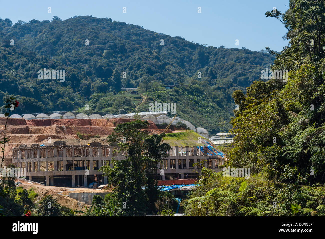 New apartments in the Cameron Highlands Stock Photo Alamy