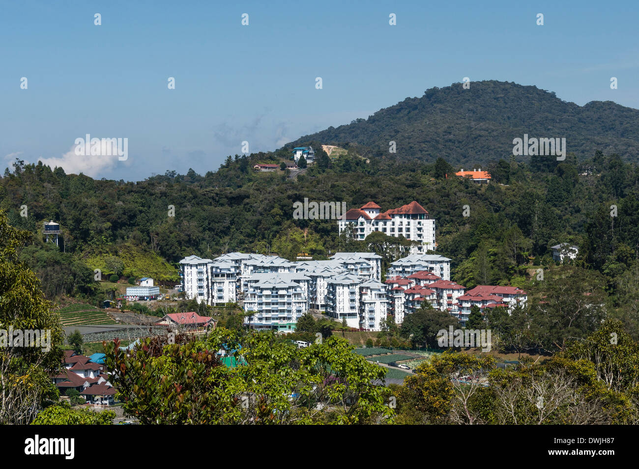 Apartments in the Cameron Highlands, Malaysia Stock Photo Alamy