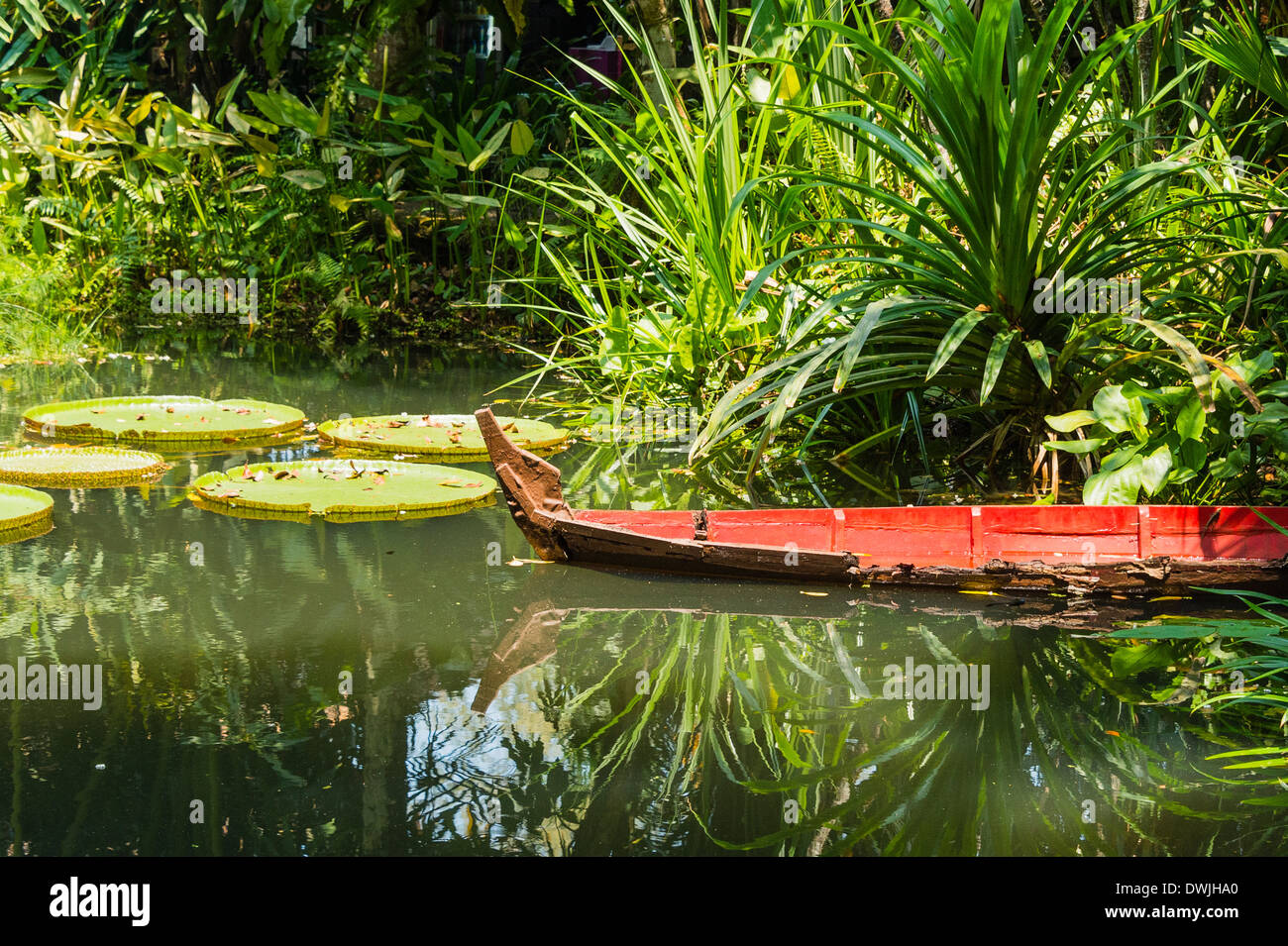 A red boat on the edge of a pond in Penang Stock Photo