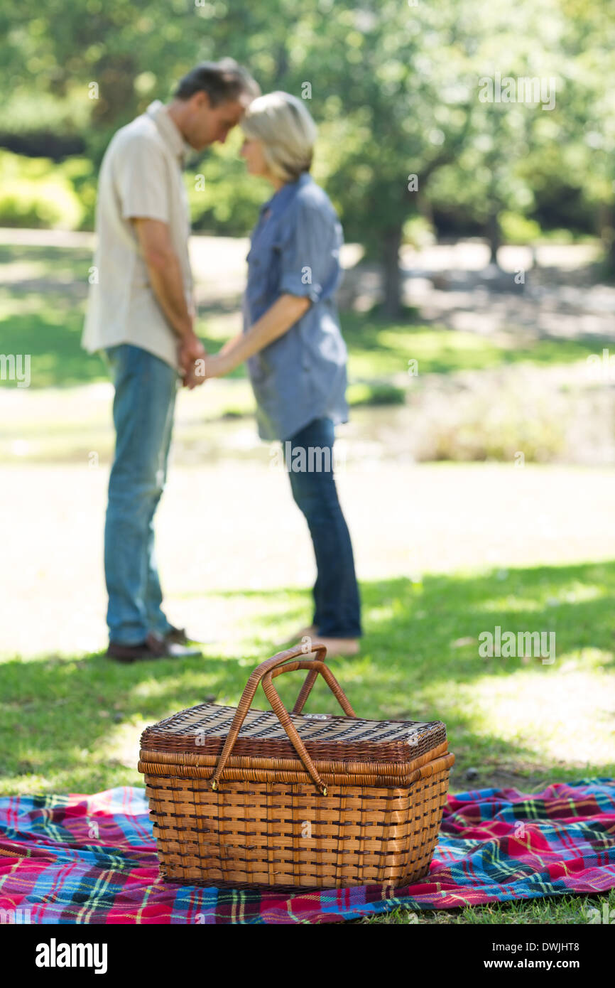 Picnic basket blanket hi-res stock photography and images - Alamy