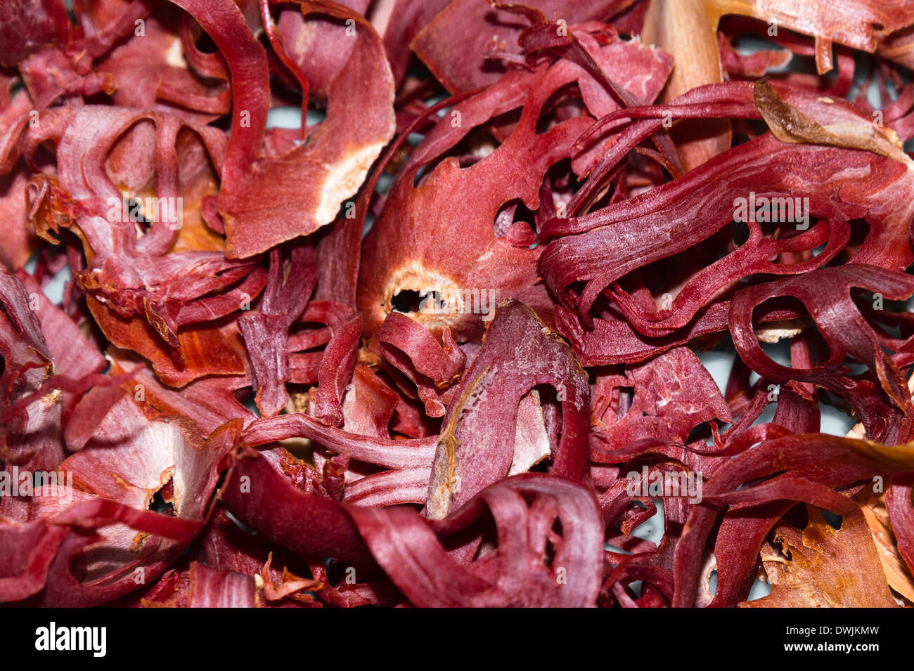 Mace myristica fragrans hires stock photography and images Alamy