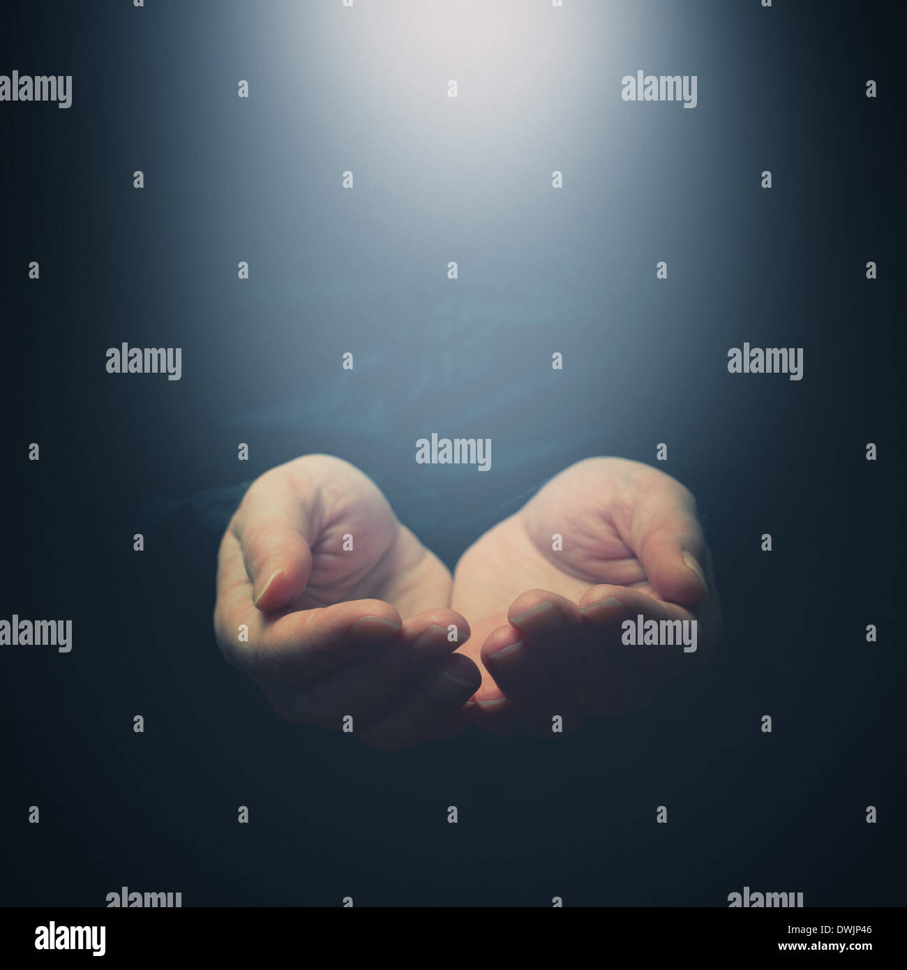 Female hands opening to light. Holding, giving, showing concept. Selective focus on fingers. Stock Photo