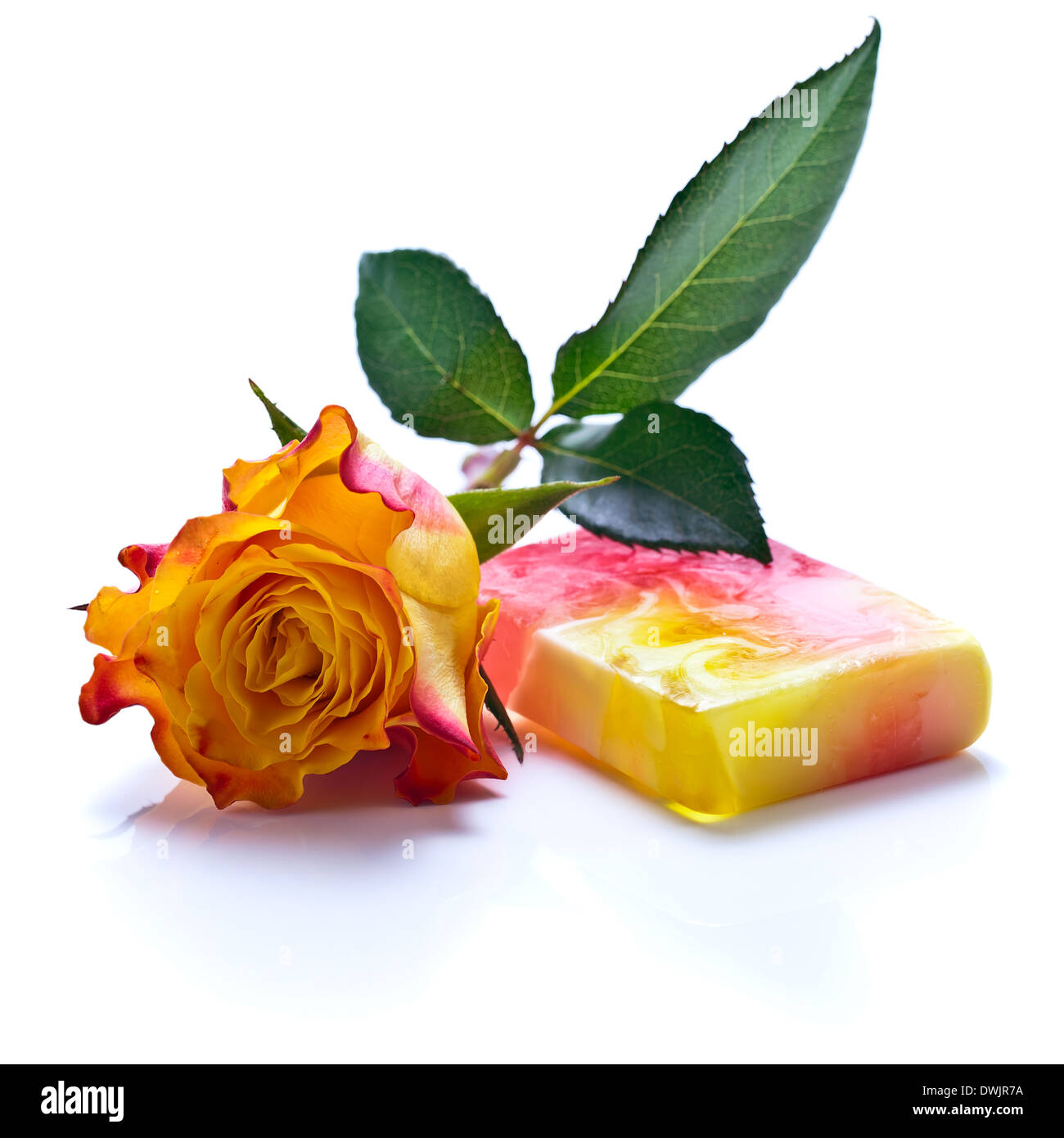 Square Soap Roses Square soap bar isolated hi-res stock photography and images - Alamy