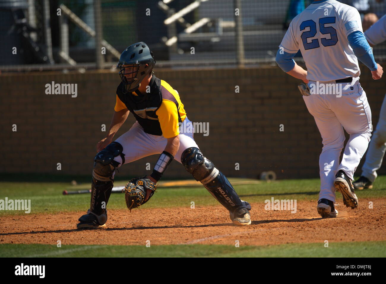 Ncaa division i baseball hi-res stock photography and images - Page 4 -  Alamy