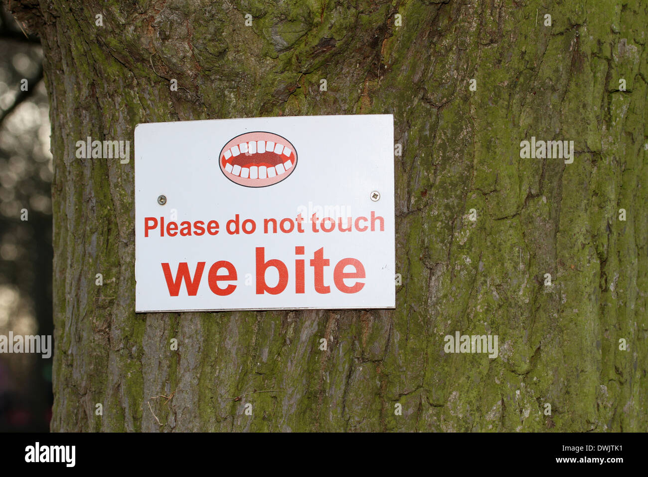 please do not touch feed the animals we bite sign screwed to tree Stock
