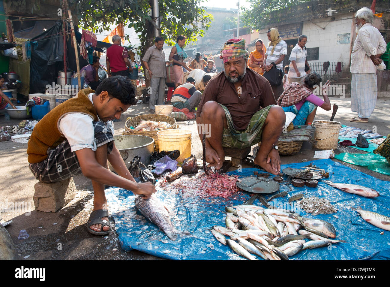 India, West Bengal, Kolkata, fish market Stock Photo