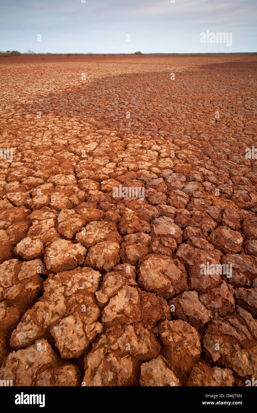 Sarigua national park, Republic of Panama, 10th March, 2014. Cracked soil in Sarigua national park (desert), Herrera province, Republic of Panama. Stock Photo