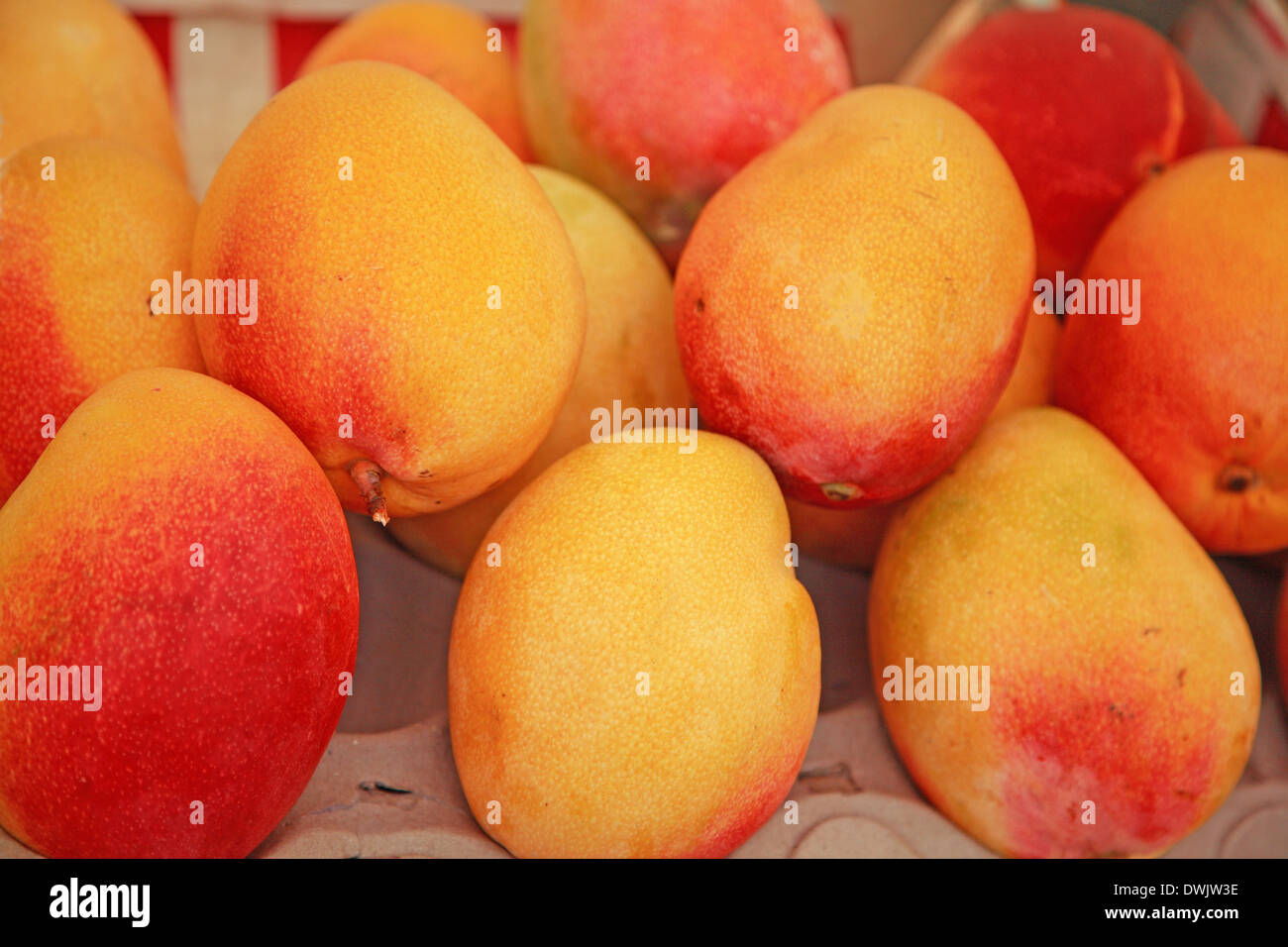 Mango, Brazil, Rio de Janeiro, Ipanema Stock Photo Alamy
