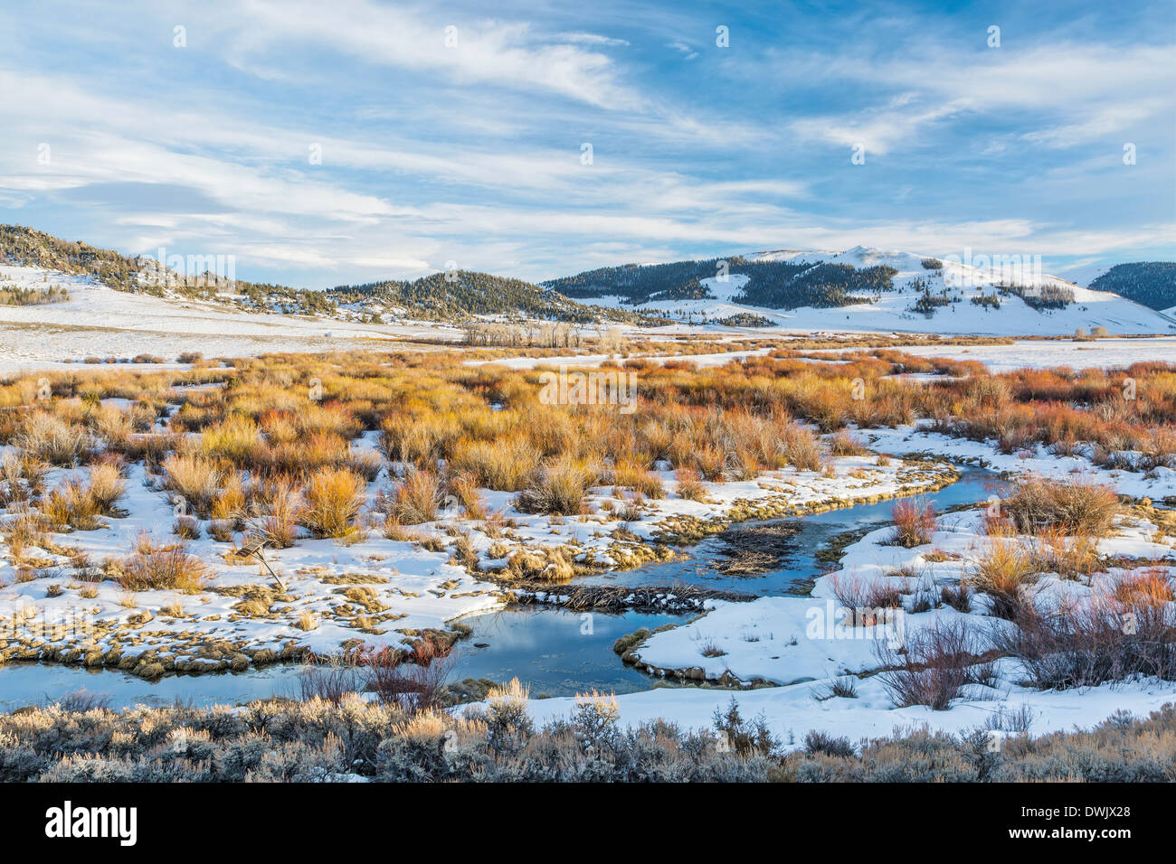 winter on beaver swamp in Northern Park, Colorado at the entry Gateway Canyon near Cowdrey Stock Photo