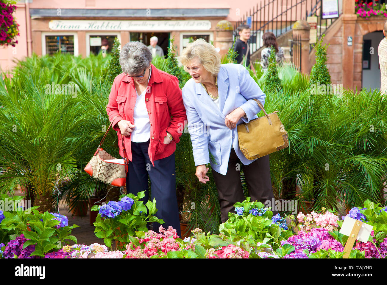 Two mature women looking at plants at Carlisle Summer Fair, surrounded