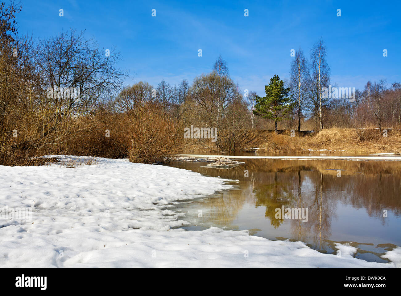 beautiful spring landscape with the river and the forest Stock Photo ...