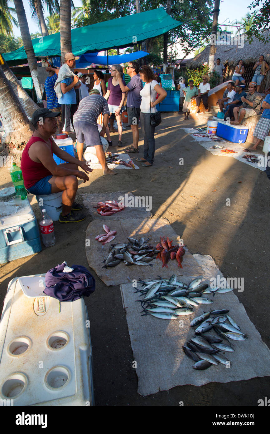 Fish market, Playa Municipal, AKA Playa del Puerto Zihuatanejo
