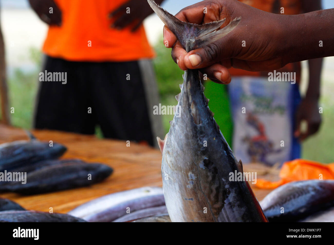 Fishmongers selling fresh tuna at the local street market in Pemba, Northern Mozambique. Stock Photo