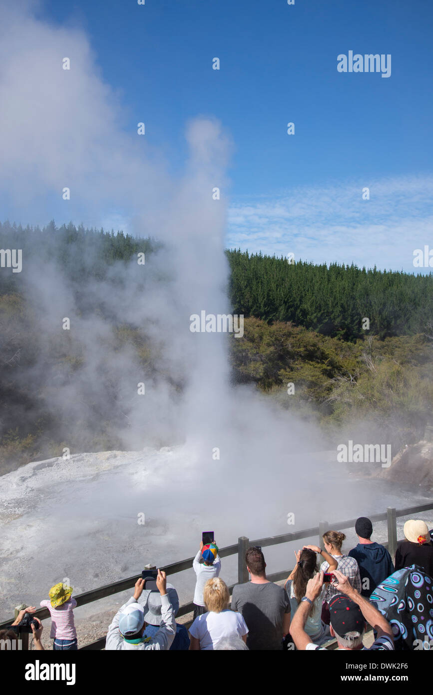 people watching lady knox geyser erupt while taking pictures with cameras and tablets Stock Photo