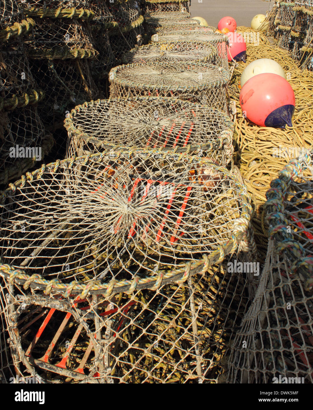 lobster and crab pots Stock Photo Alamy