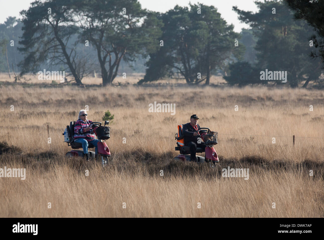 Couple of seniors on a trip with mobility scooters in nature (Strabrechtse Heide) in the Netherlands Stock Photo