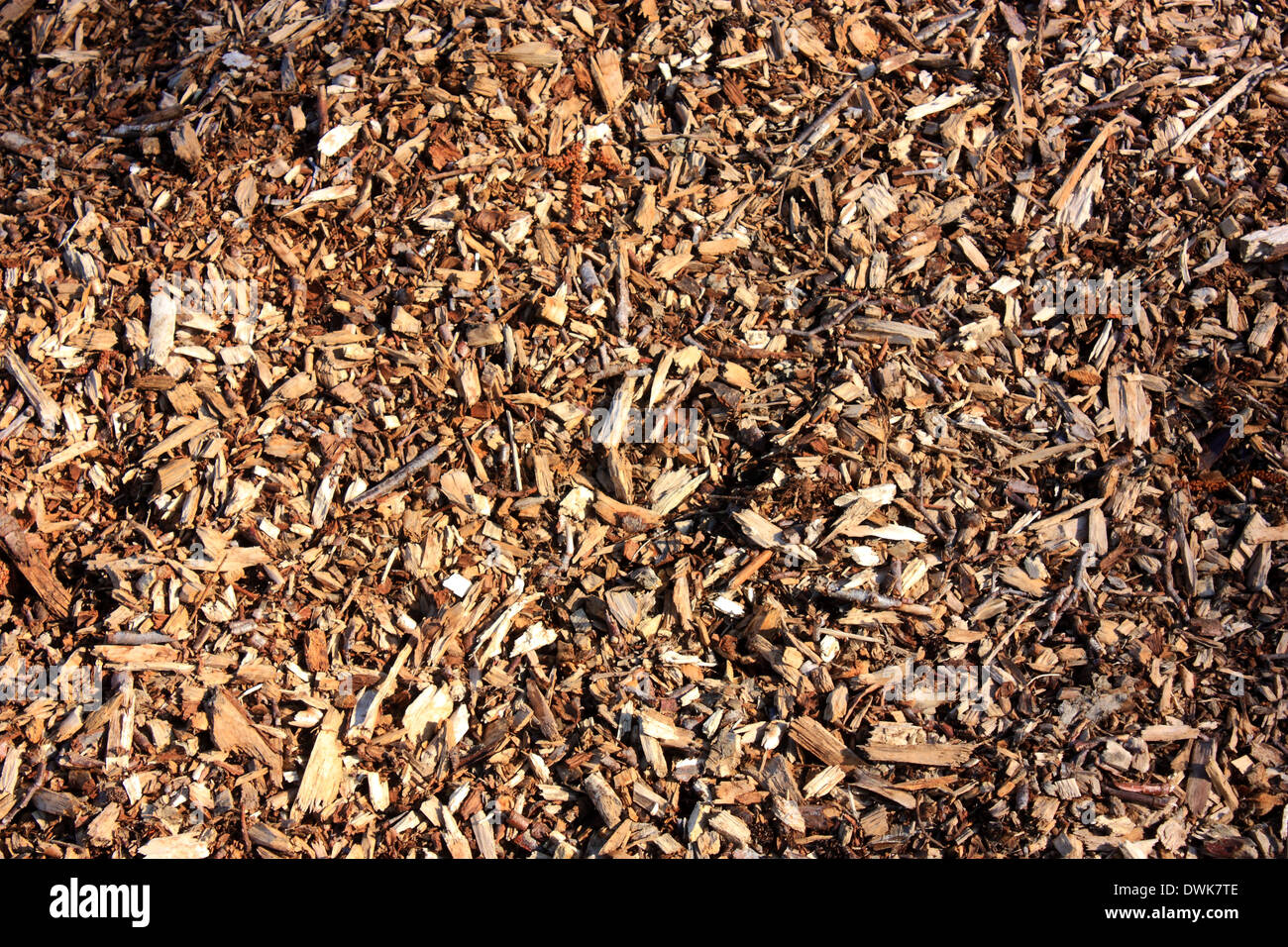 a close up view of woodchips ideal as a background image Stock Photo