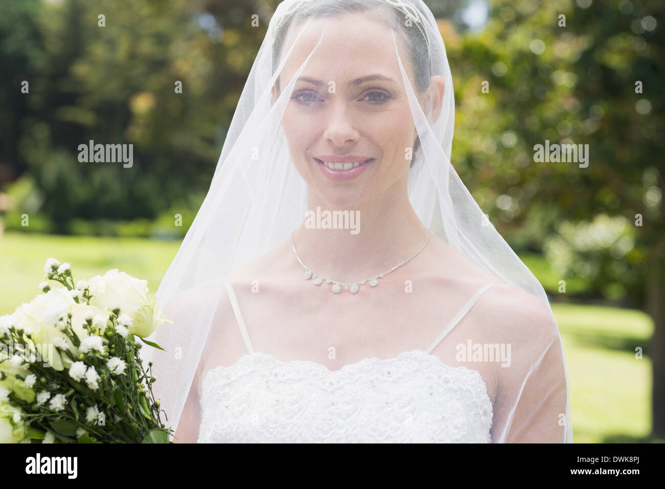 Beautiful bride covered veil hi-res stock photography and images - Alamy