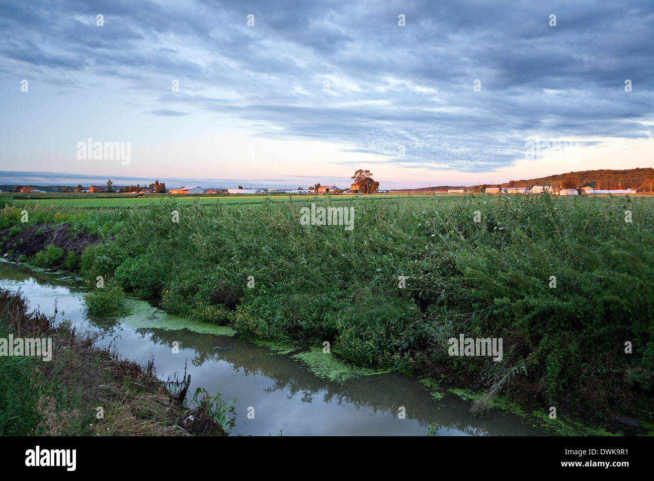 A dirty irrigation canal runs along the side of a road at sunrise in