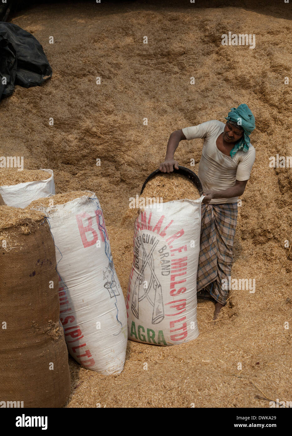Animal feed hires stock photography and images Alamy