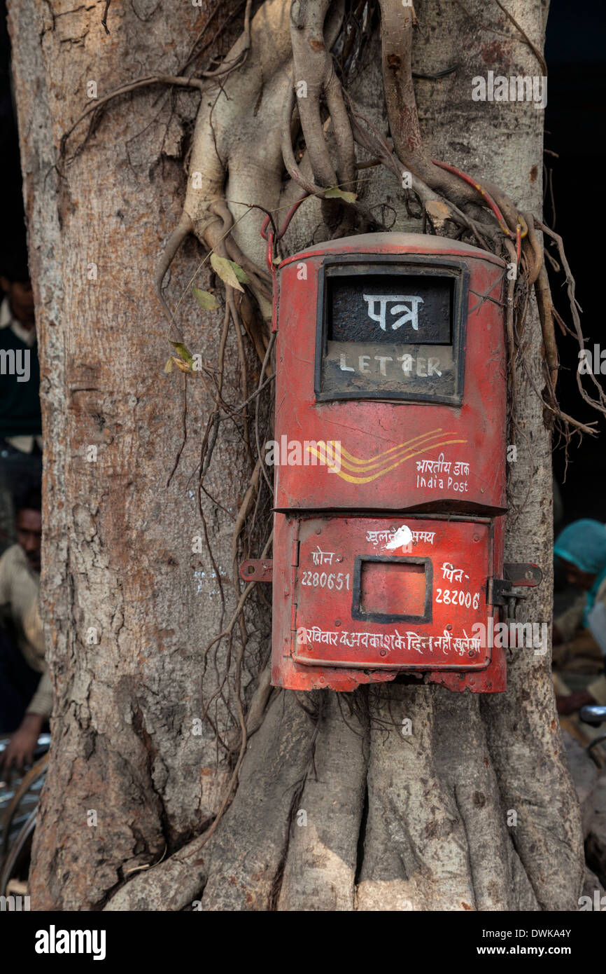 Agra, India. Post Office Box on a Banyan Tree Stock Photo Alamy