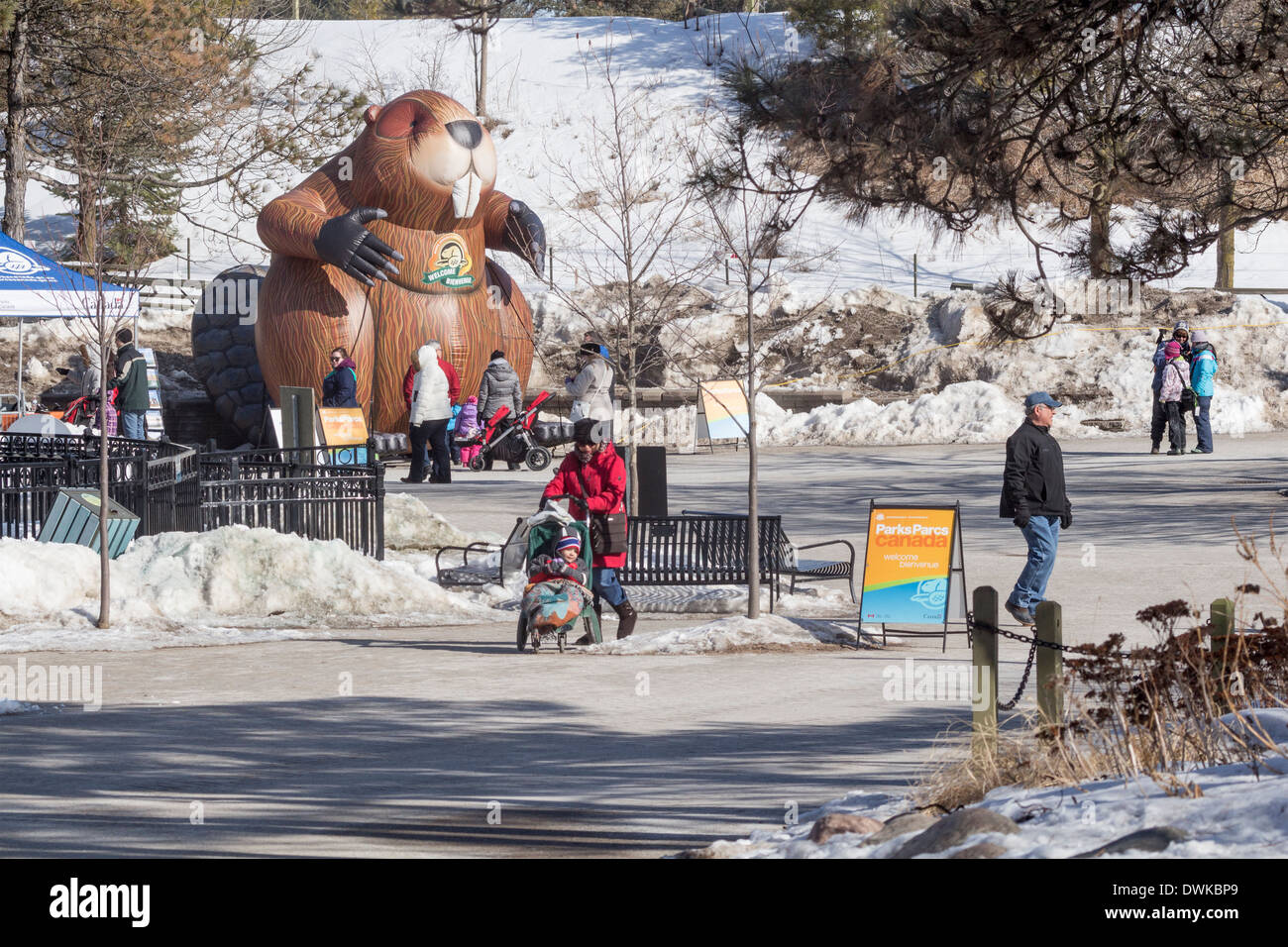 Toronto Zoo