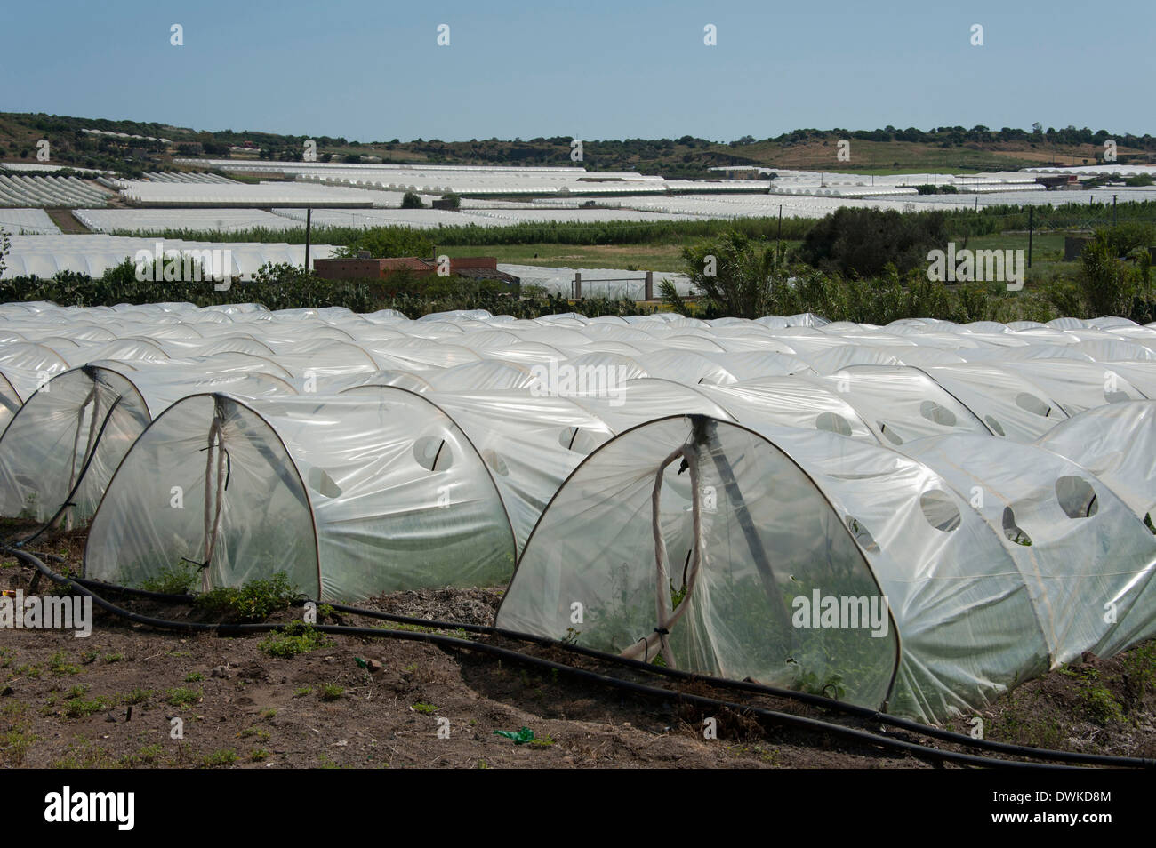 Greenhouses, Portopalo Stock Photo