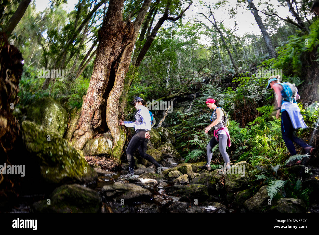 Trail runners compete in an offroad stage race, part of the Quantum