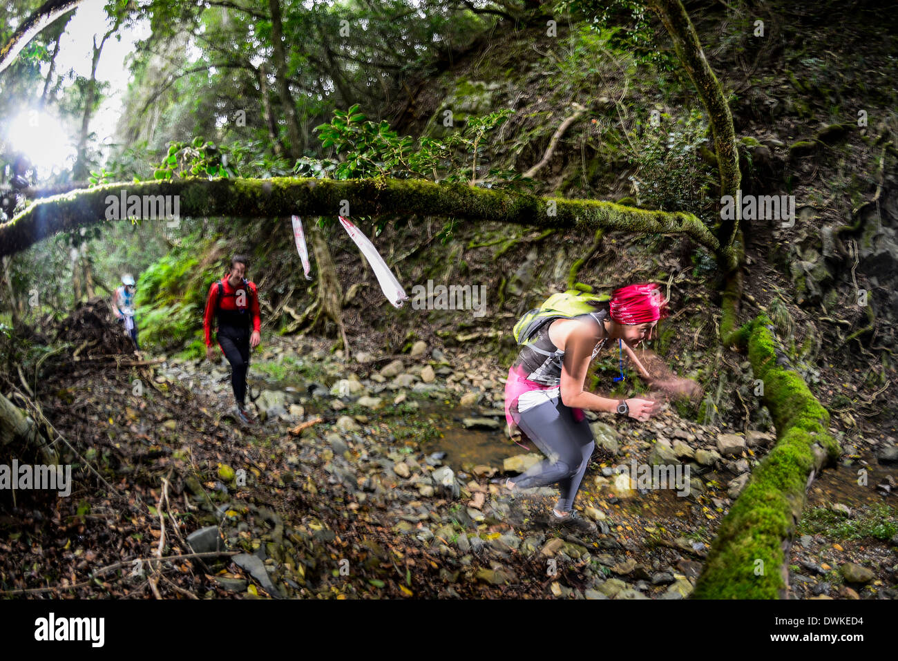 Trail runners compete in an offroad stage race, part of the Quantum