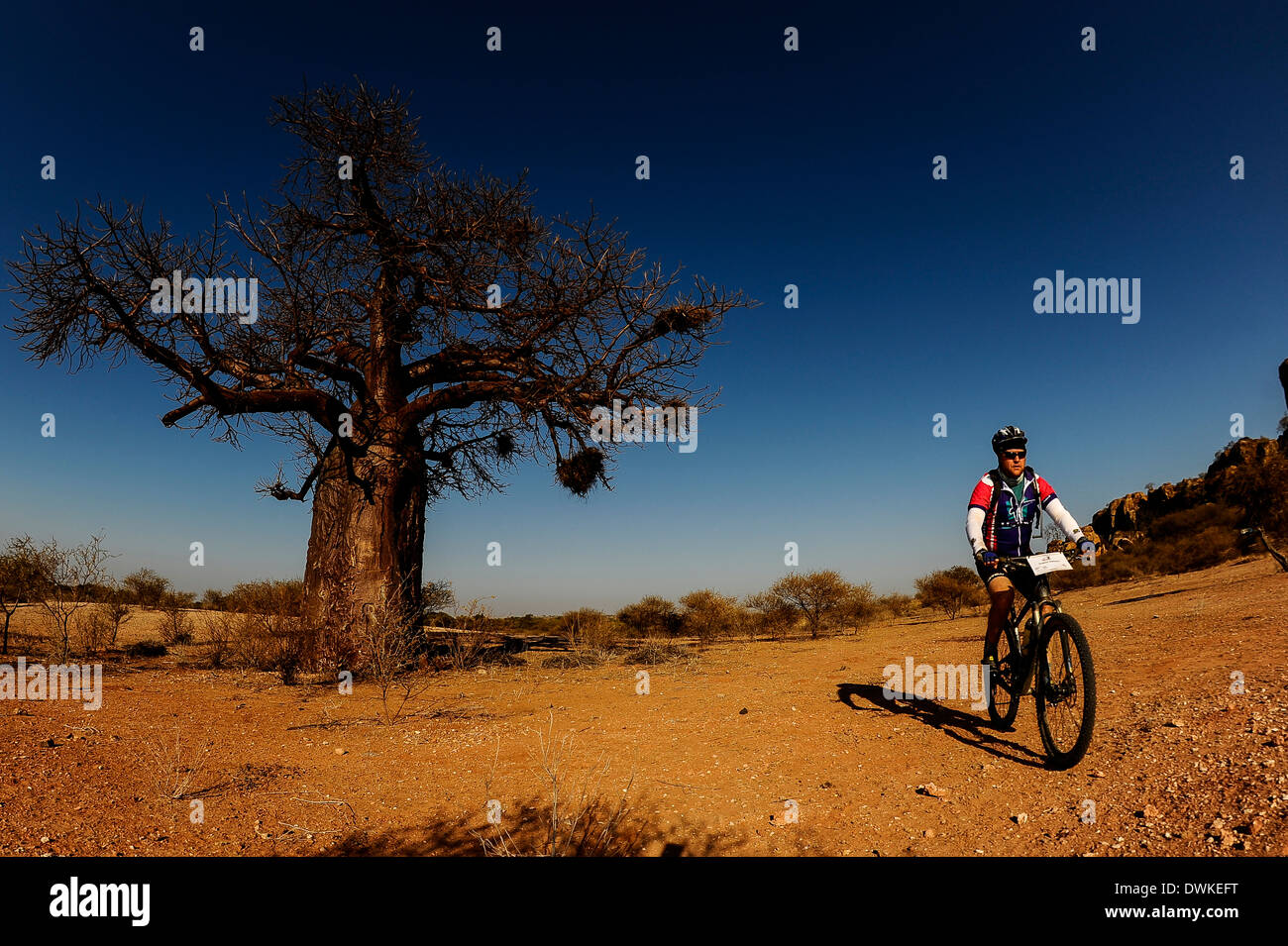 Alldays High Resolution Stock Photography and Images Alamy