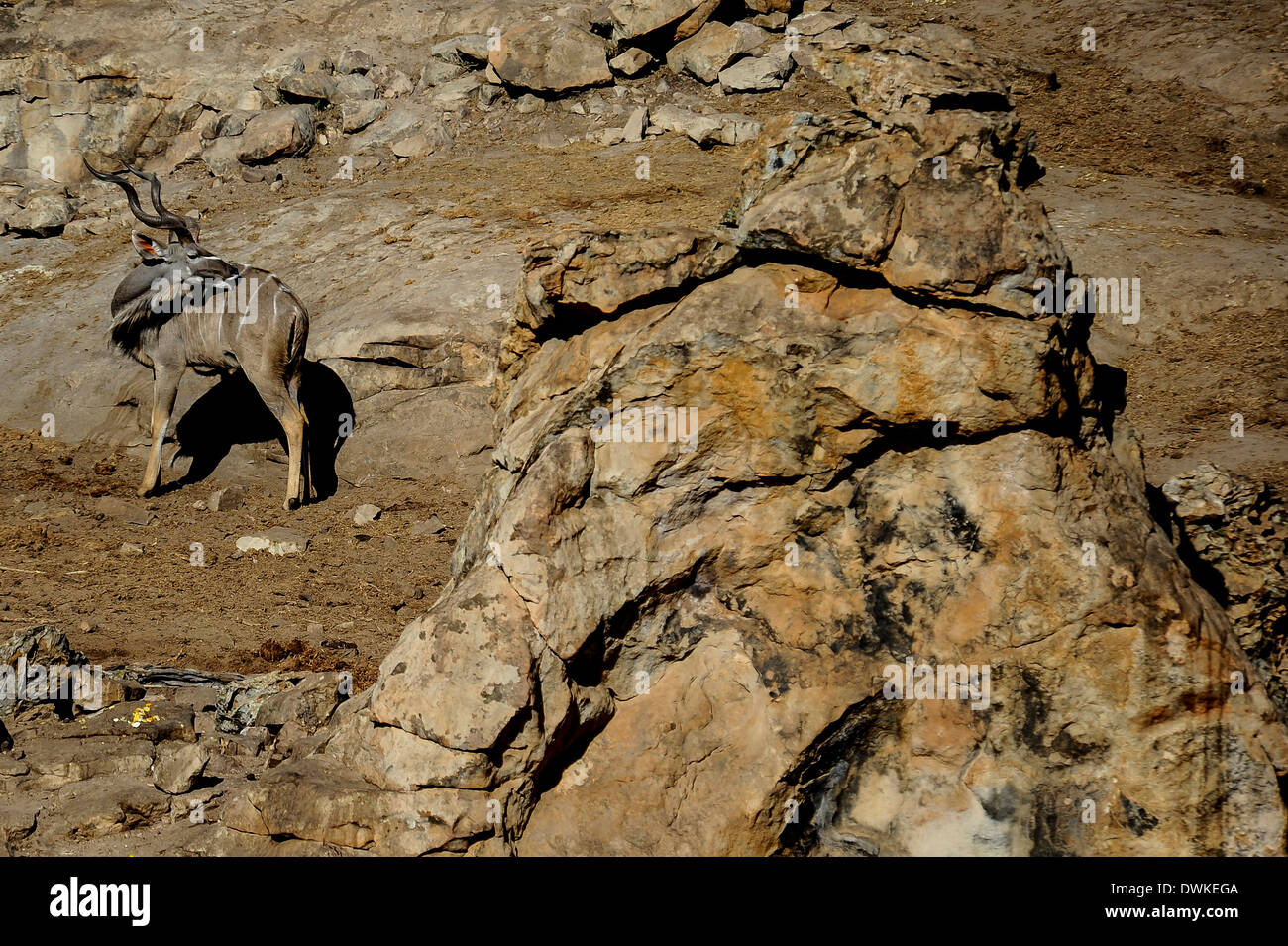 Mountain bikers take part in the FEDHEALTH Tour de Tuli mountain bike