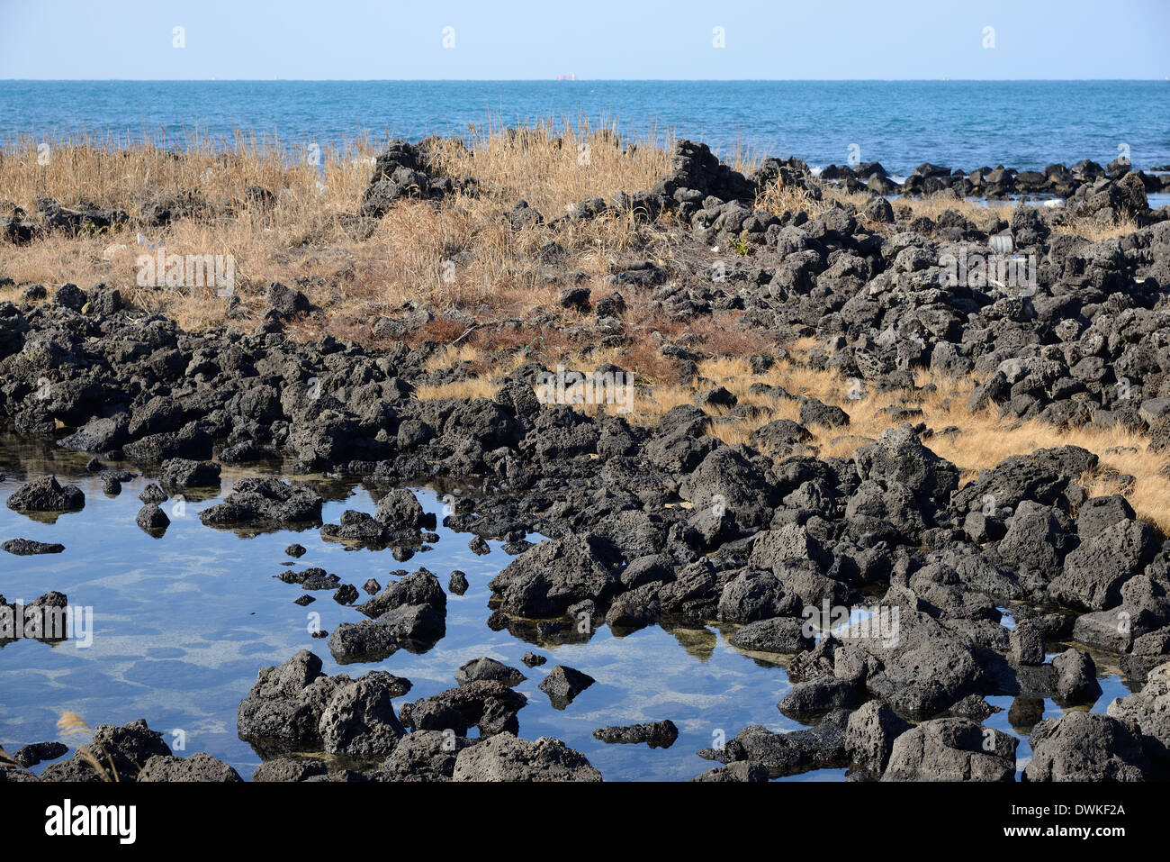 Basaltic Sea side in Island in South Korea Stock Photo