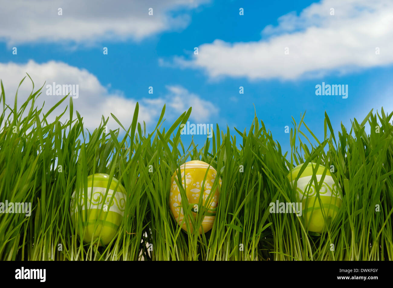 Painted easter eggs in green grass with a blue and cloudy sky Stock ...