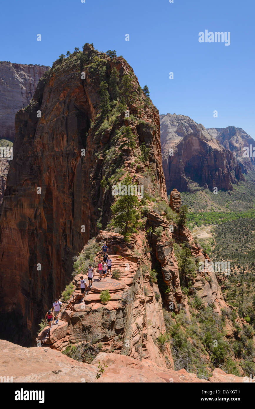Trail to Angels Landing, Zion National Park, Utah, United States of America, North America Stock Photo