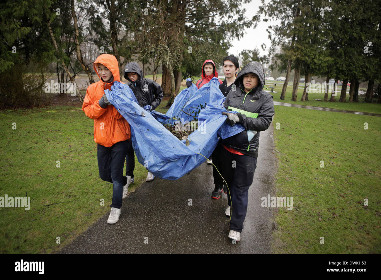 Vancouver, Canada. 10th Mar, 2014. Volunteers remove the invasive species at a park in Richmond, Canada, March 10, 2014. About 90 youth volunteers organized through social media joined together to remove invasive plants from the community parks. The organizers wish to help protecting the natural habitat and promote the public awareness of environmental protection via this periodic volunteering event. © Liang Sen/Xinhua/Alamy Live News Stock Photo