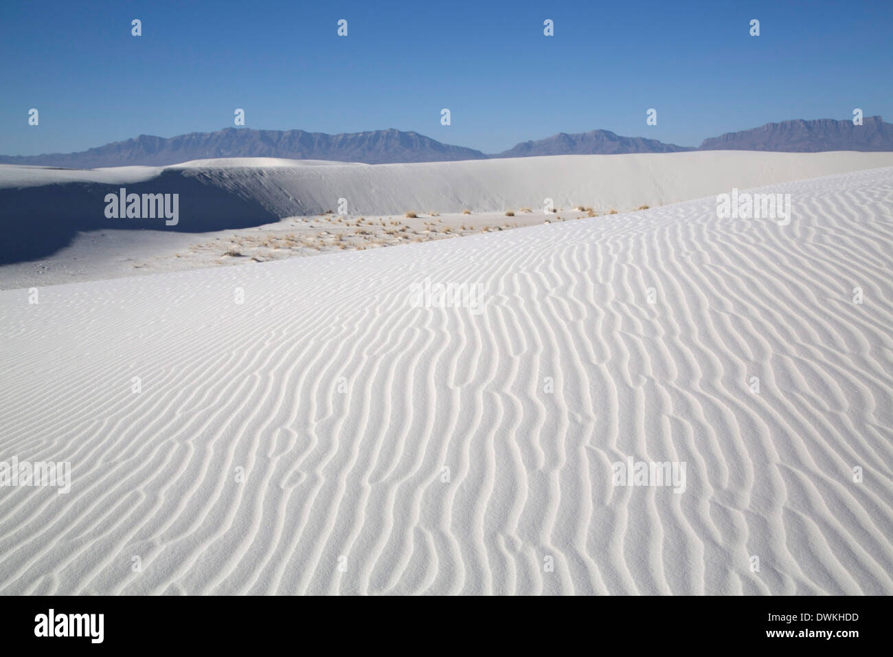 White Sands National Monument, world's largest gypsum dunefield, New