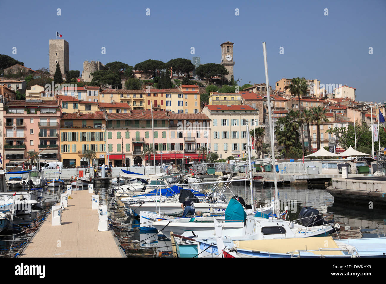 Harbor, Port, Le Suquet, Old Town, Cannes, Alpes Maritimes, Cote d'Azur, Provence, French Riviera, France, Europe Stock Photo