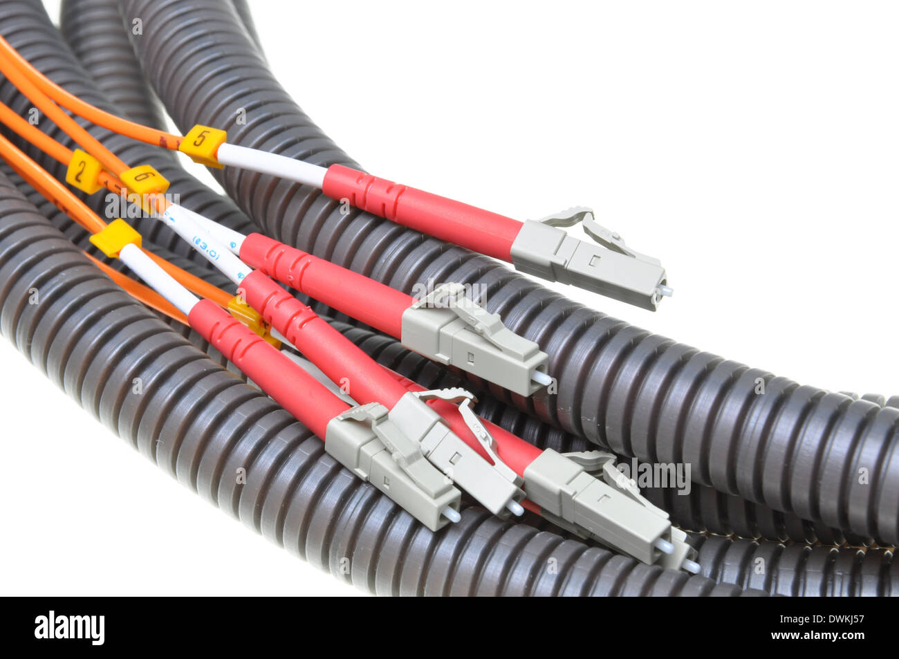 Optical patch cords in protective corrugated pipe Stock Photo Alamy