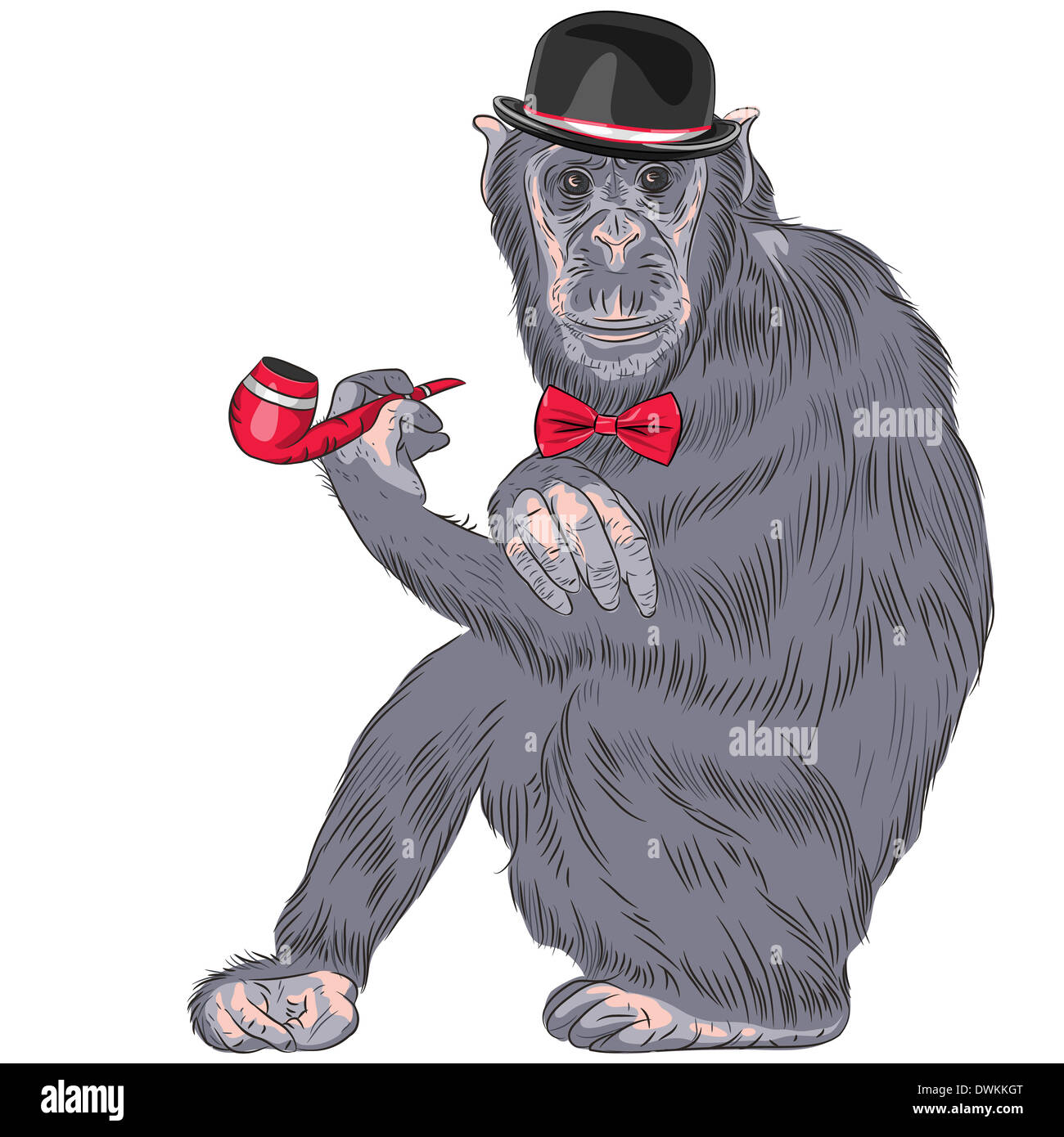 hipster monkey Gentleman in black Bowler Hat and red bow tie with tobacco pipe Stock Photo