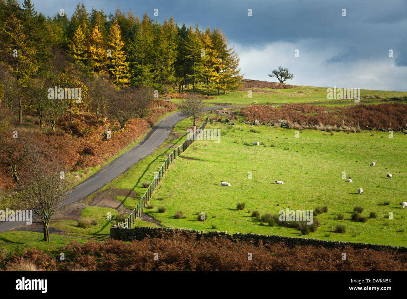 Hawnby Road, Dale Head, North Yorkshire Stock Photo - Alamy